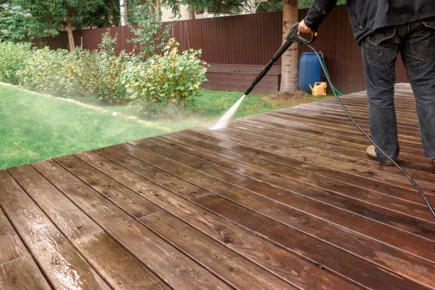 Best Roof Washing  in Eagle Lake, MN